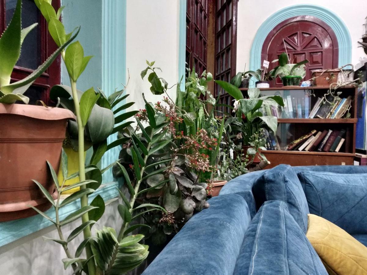 Flora Hostel Baku Luaran gambar